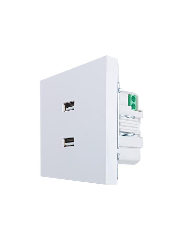  Розетка 2-мест. USB разъем СП ZIMA IP20 бел. LEZARD 704-0288-192 фото в каталоге от BTSprom.by