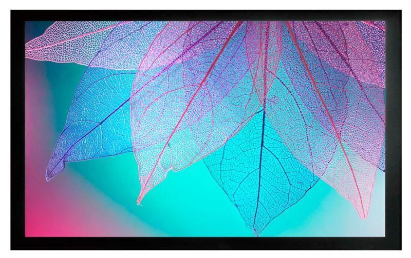 экран на раме 124х220см frameexpert cs-psfre-220x124 16:9 настенный натяжной cactus 1070208 от BTSprom.by