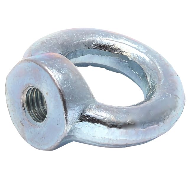 рым-гайка м10 din 582 (уп.50шт) промрукав pr08.3905 от BTSprom.by