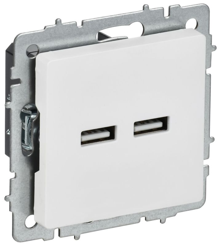 розетка brite рю10-1-браб usb a+a 3.1а механизм арктич. бел. iek br-u21-d31-k91 от BTSprom.by