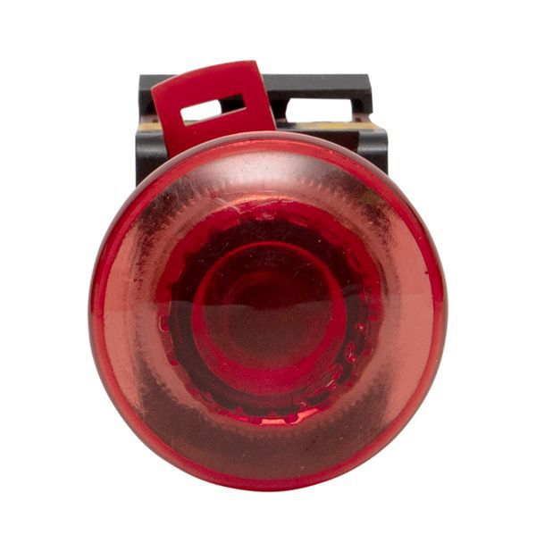  Кнопка "Грибок" AELA-22 NO+NC 220В с подсветкой красн. PROxima EKF pbn-aela-1r-220 фото в каталоге от BTSprom.by