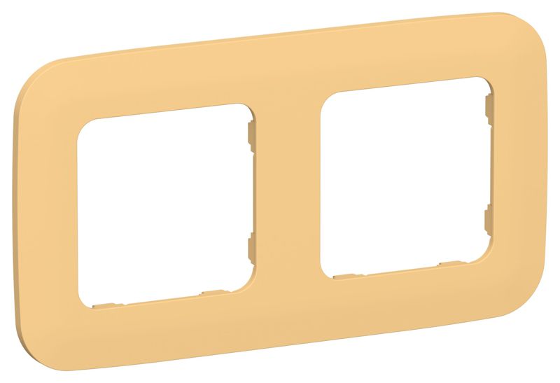 рамка 2-м сп flite ру-2-а-флз золотарник iek fi-m22-31-20-k90 от BTSprom.by