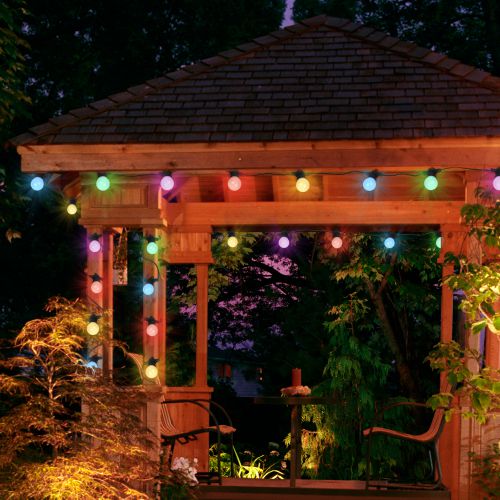  Гирлянда "Белт Лайт" 3м 10LED RGB шаг 30см мультиколор 24В каучуковая изоляция IP44 динамич.режим с контроллером и трансформ. ЭРА Б0047957 фото в каталоге от BTSprom.by