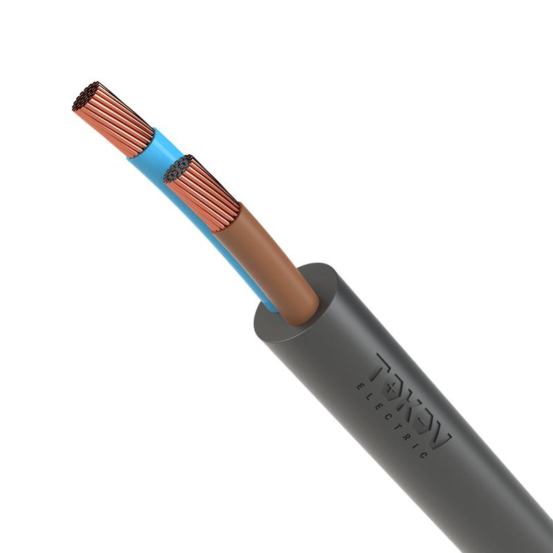 провод tokov electric пвс 2х2.5 380в ч (уп.100м) 1945517 от BTSprom.by