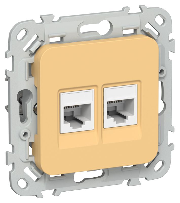 розетка 2-м сп flite ркт5е/3-2-0-флз rj45/rj11 кат.5e/3 utp механизм золотарник iek fi-kt22-1-k90 от BTSprom.by