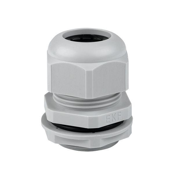 сальник pg21 ip54 ekf plc-pg-21 от BTSprom.by