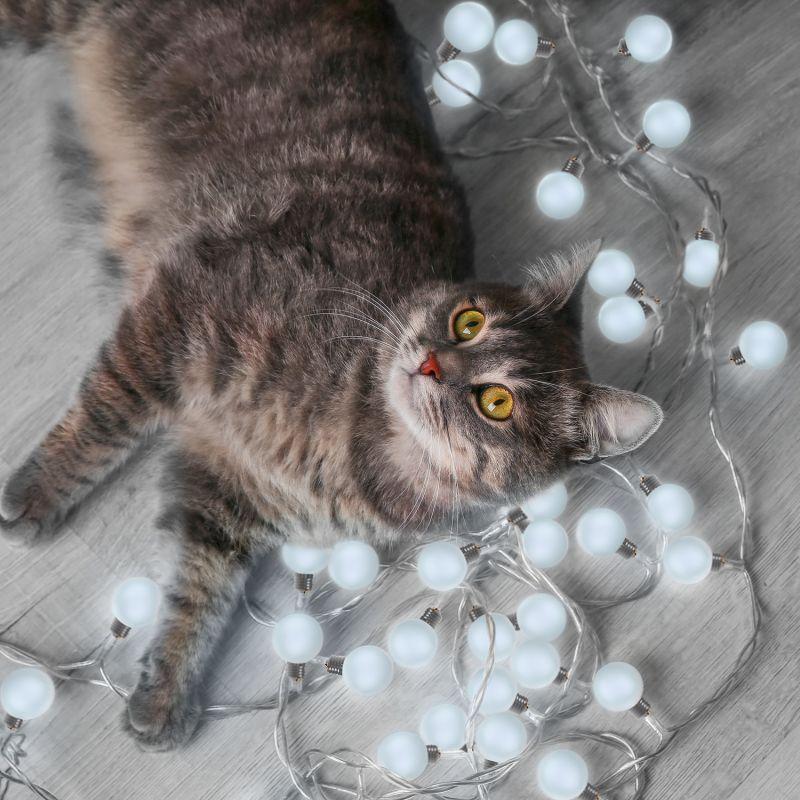  Гирлянда светодиодная садовая Solar "Большие Шары" 10 ламп бел. IP44 GAUSS GS033 фото в каталоге от BTSprom.by