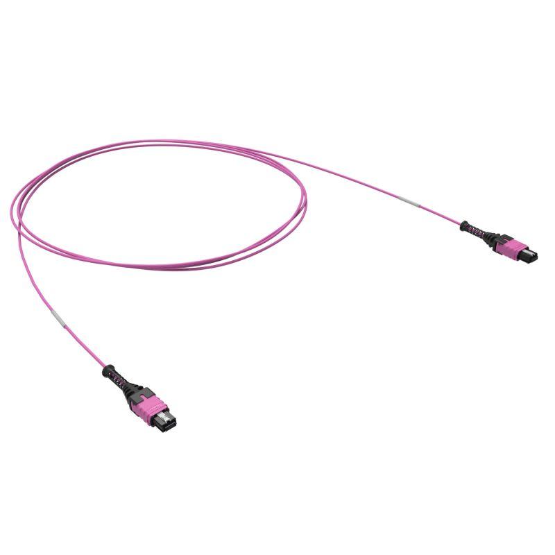 патчкорд 12ов 50/125 om4 1xmtp pro (12)/1xmtp pro(12) 1м dkc rnpcff124b01 от BTSprom.by