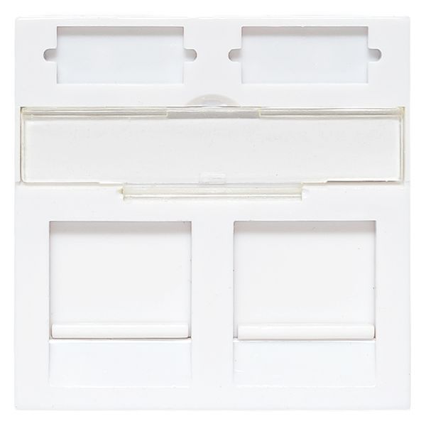  Вставка розеточная 45х45мм формат Mosaic на 2 модуля Keystone защ. шторки с маркерами бел. TERACOM PRO EKF TRP-INS-MOS-2M2P-WH фото в каталоге от BTSprom.by