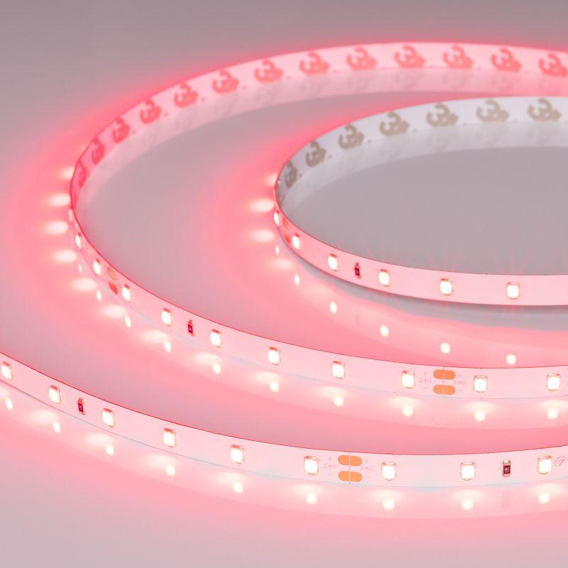 лента светодиодная rt-a60-8mm 24в ruby 4.8вт/м ip20 (уп.5м) arlight 055374 от BTSprom.by
