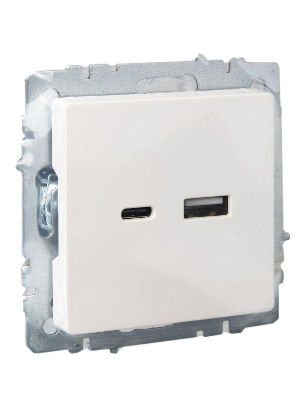  Розетка BRITE USB A+C 18Вт РЮ11-1-БрЖ механизм жемчуж. IEK BR-U22-018-K36 фото в каталоге от BTSprom.by