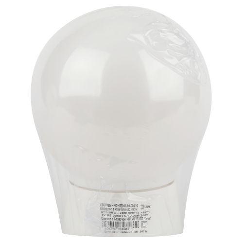  Светильник НБП 01-60-004 с наклонным основанием Гранат полиэтилен IP20 E27 max 60Вт ЭРА Б0052011 фото в каталоге от BTSprom.by