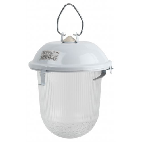  Светильник НСП 41-200-001 Желудь max 200Вт E27 IP54 185х260 без решетки сталь стекло бел. ЭРА Б0052018 фото в каталоге от BTSprom.by