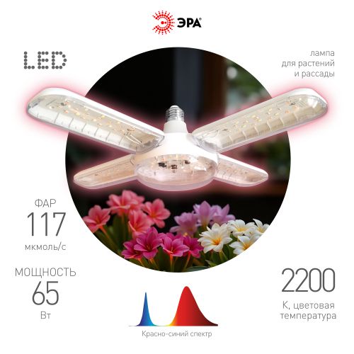 лампа светодиодная green line фито-65w-pl-e27-gr 65вт прозрачная 2200к роз. свечения e27 220-240в для растений 5-ти лепестковая эра б0069714 от BTSprom.by