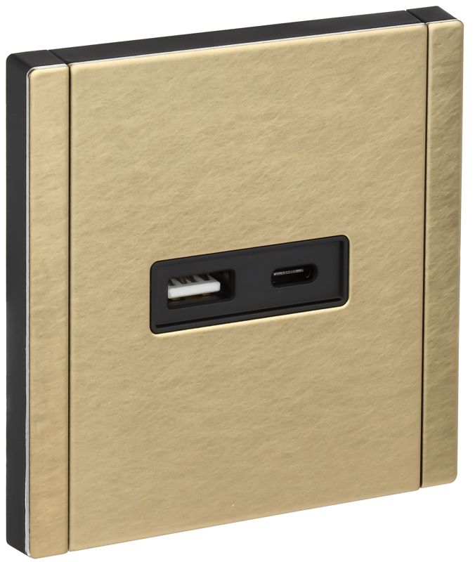 розетка forte&piano fp651m usb a+c 18вт шампань iek fp-u22-018-m-k37 от BTSprom.by
