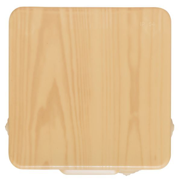  Коробка распаячная КМР-030-014 с крышкой 100х100х55 8 мембранных вводов IP54 свет. дерево PROxima EKF plc-kmr-030-014-s фото в каталоге от BTSprom.by