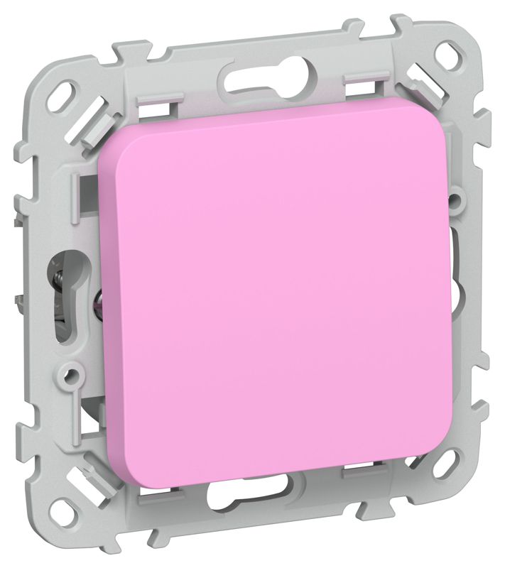 выключатель кнопочный проходной 1-кл. сп flite вс61-2-0-флпр 10а механизм пурпур. iek fi-v18-0-10-1-k99 от BTSprom.by