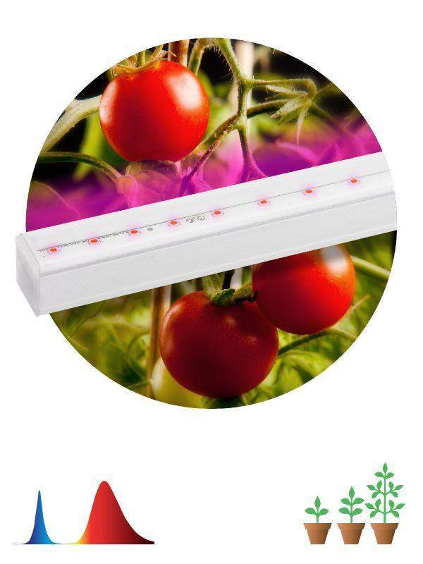 светильник светодиодный для растений fito-14w-т5-n 14вт 220-240в линейный для периода вегетации фиолет. свечение эра б0045232 от BTSprom.by