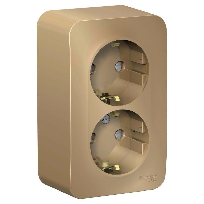 розетка 2-м оп blanca 16а ip20 250в с заземл. защ. шторки с изолир. пластиной титан se blnra011214 от BTSprom.by