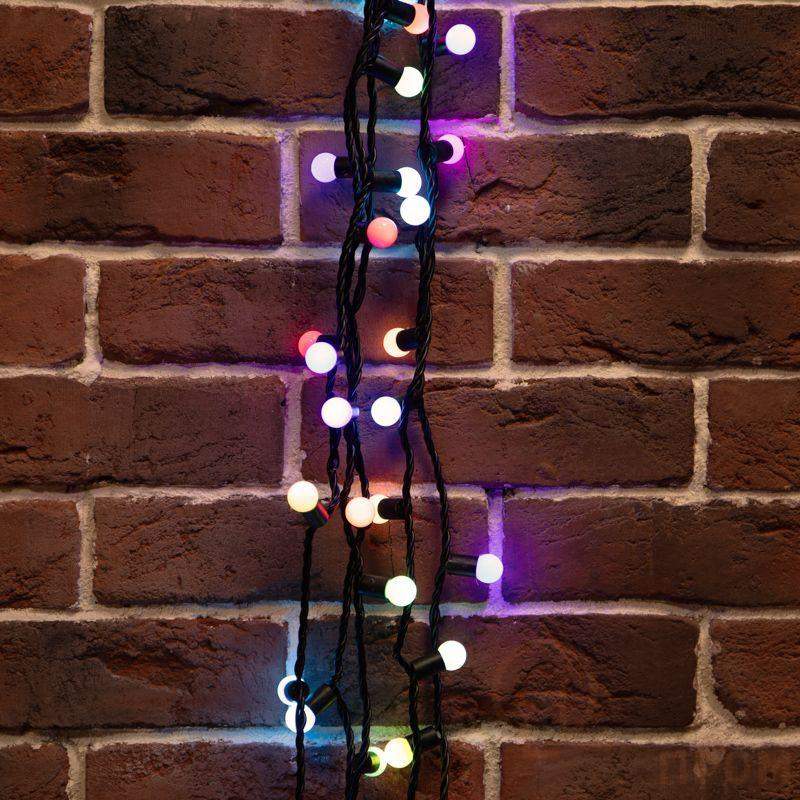 Гирлянда светодиодная "Мультишарики" 10м d17.5мм 100LED RGB 16Вт 220-240В IP65 провод ПВХ черн. (нужен шнур питания 303-500) Neon-Night 303-509-2 фото в каталоге от BTSprom.by  Гирлянда светодиодная "Мультишарики" 10м d17.5мм 100LED RGB 16Вт 220-240В IP65 провод ПВХ черн. (нужен шнур питания 303-500) Neon-Night 303-509-2 фото в каталоге от BTSprom.by