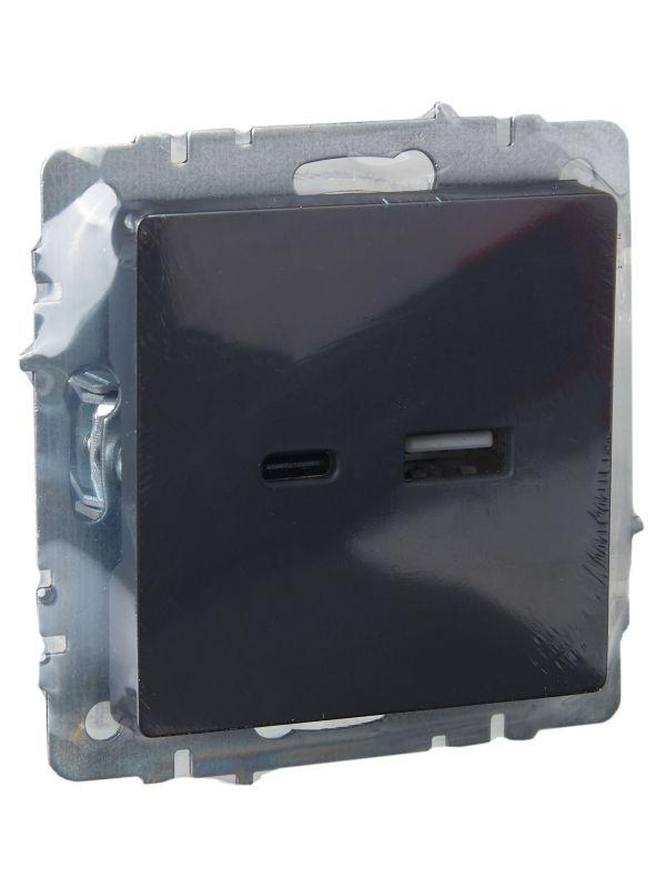  Розетка BRITE USB A+C 18Вт РЮ11-1-БрГ механизм графит IEK BR-U22-018-K53 фото в каталоге от BTSprom.by
