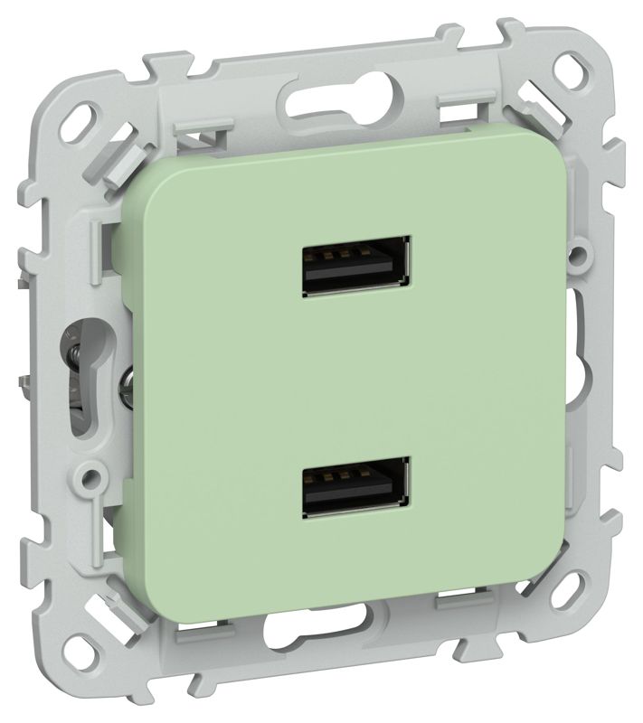 розетка usb сп flite рю-2-флф aa 2.1а механизм фисташк. iek fi-u21-d31-k93 от BTSprom.by