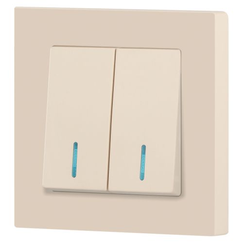  Выключатель 2-кл. СП Accent 6-105-02 10А IP20 250В с подсветкой AL/CU сл. кость Intro Б0063509 фото в каталоге от BTSprom.by