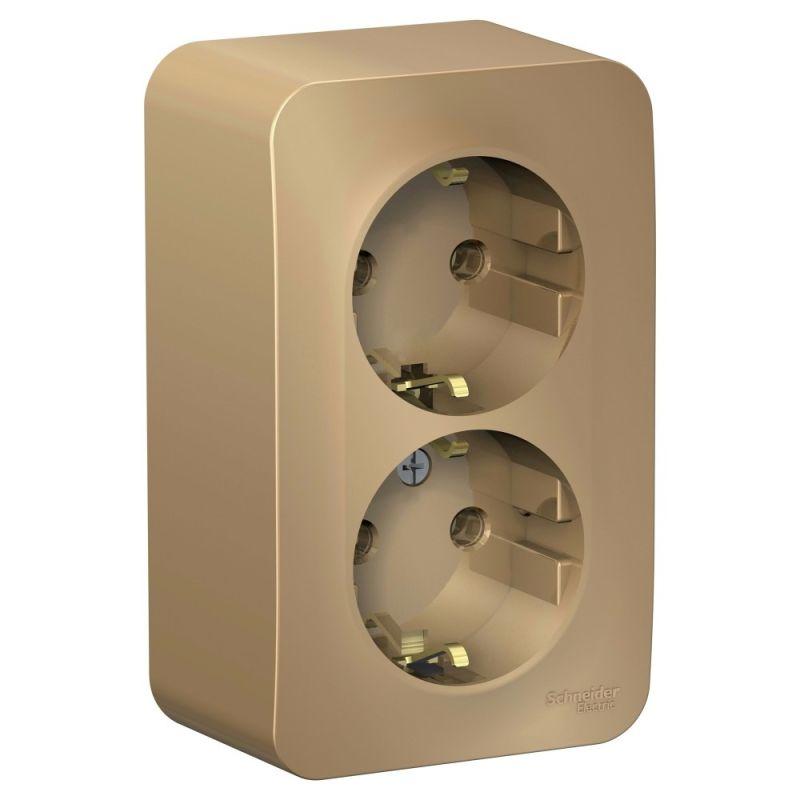 розетка 2-м оп blanca 16а ip20 250в с заземл. без защ. шторок с изолир. пластиной титан se blnra010214 от BTSprom.by