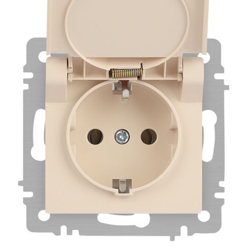  Розетка 1-м СП Accent 6-203-02 16А IP20 250В 2P+E Schuko с крышкой сл.кость Intro Б0063716 фото в каталоге от BTSprom.by