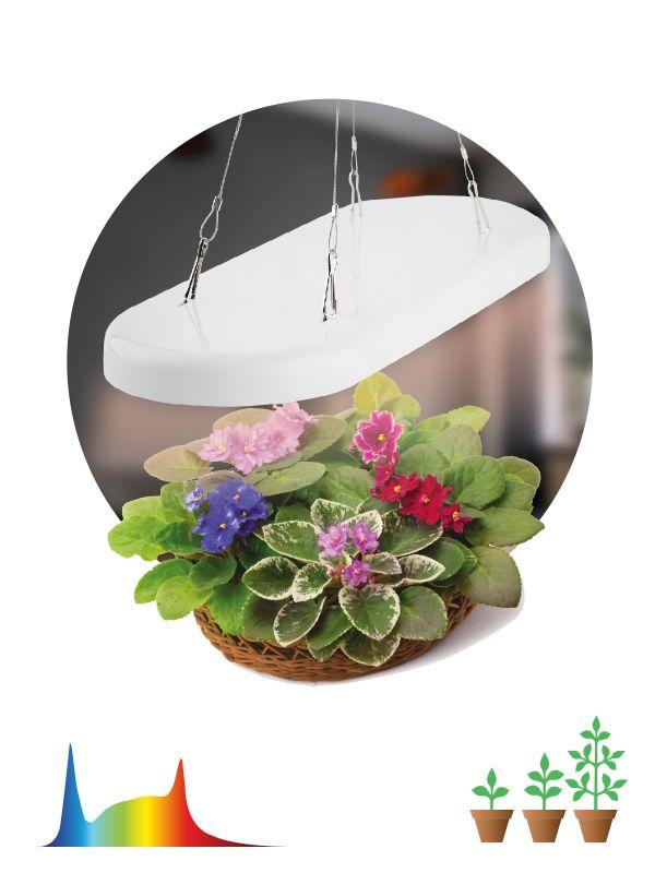 светильник светодиодный fito-25w-qled-fly 25вт подвесной для растений полноспектральный эра б0053062 от BTSprom.by
