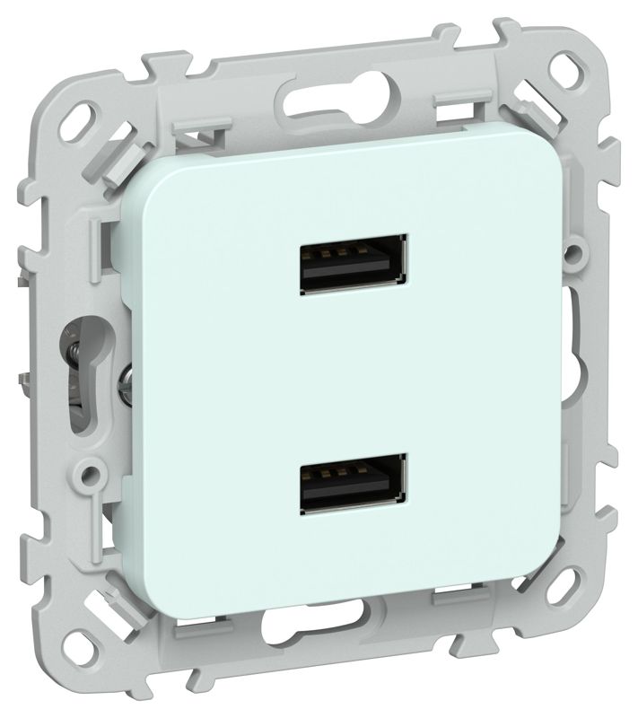 розетка usb сп flite рю-2-флхл aa 2.1а механизм холод. лед iek fi-u21-d31-k94 от BTSprom.by