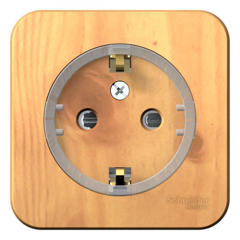 розетка 1-м оп blanca 16а ip20 250в с заземл. защ. шторки с изолир. пластиной (компакт) ясень se blnra111115 от BTSprom.by