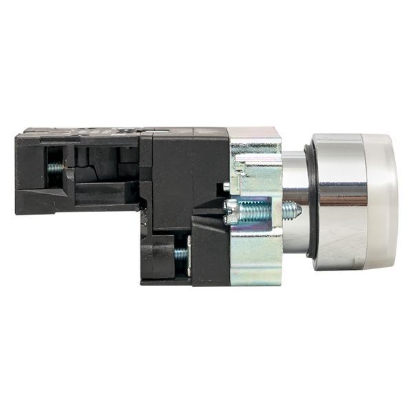  Кнопка BA21 с подсветкой 24В бел. NO PROxima EKF xb2-bw21-24 фото в каталоге от BTSprom.by