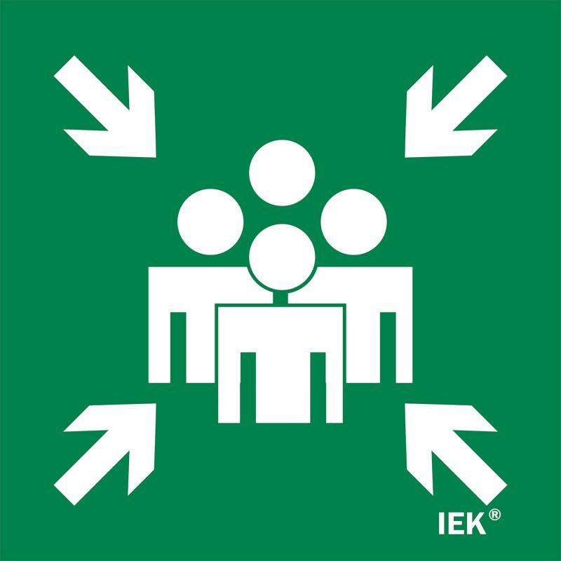 этикетка самоклеящаяся 150х150мм "место сбора" iek lpc10-1-15-15-msts от BTSprom.by