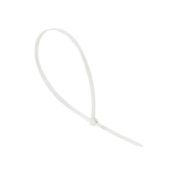 хомут нейлоновый со стальным зубом (б) 5х300 (уп.100шт) proxima ekf plc-fl-ctsbw-5x300 от BTSprom.by