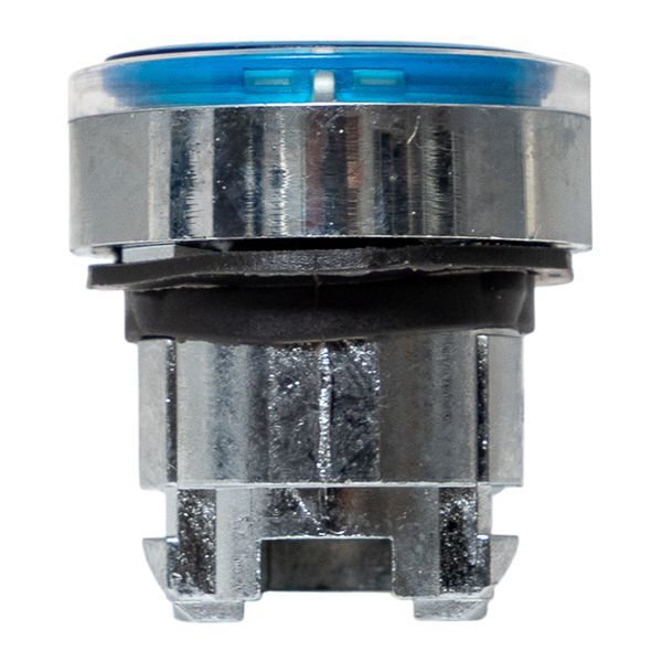  Механизм кнопки исполнительный XB4 IP65 плоский возвратный без фиксации с подсветкой син. EKF XB4BW-B-65 фото в каталоге от BTSprom.by