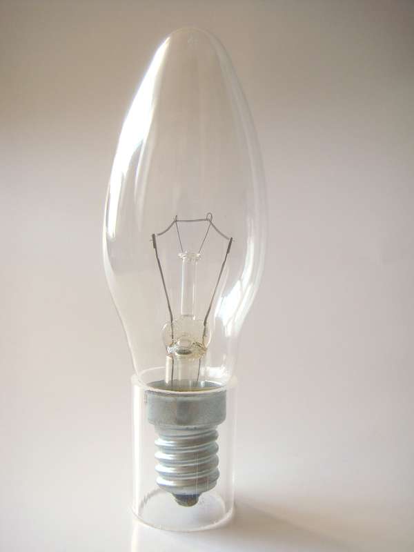 лампа накаливания дс 40вт e14 (верс.) лисма 326766400 от BTSprom.by