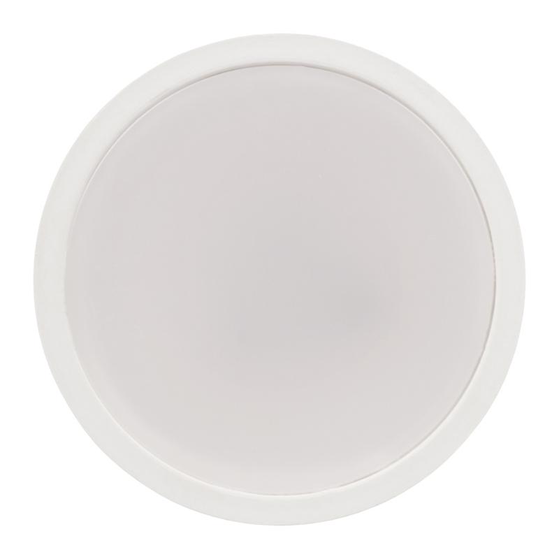 лампа светодиодная низковольтная pled-sp jcdr mo 10вт 5000к холод. бел. gu5.3 12-24в ac/dc pro jazzway 5049727 от BTSprom.by