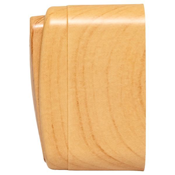  Выключатель 1-кл. 2п ОП Минск 10А IP20 с индикатором светл. дерево EKF EGV10-121-30 фото в каталоге от BTSprom.by