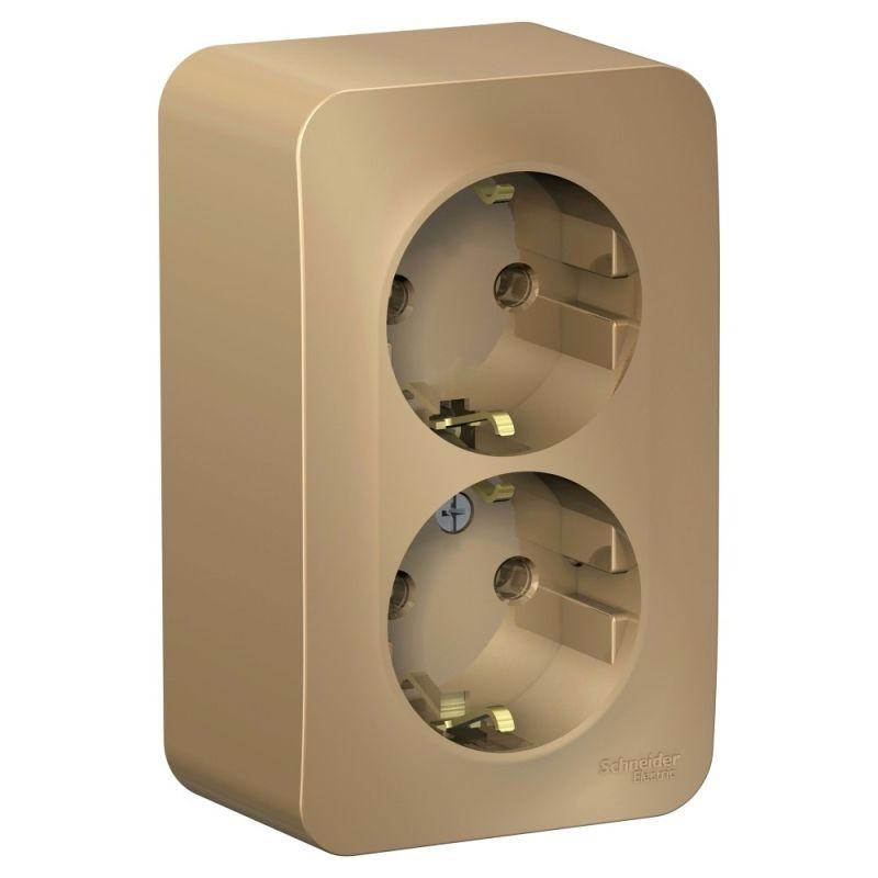 розетка 2-м оп blanca 16а ip20 250в с заземл. без защ. шторок титан se blnra010204 от BTSprom.by