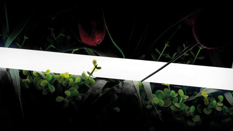 лента светодиодная неоновая 2835 360град. led/м 16 вт/м 24в ip66 тепл. бел. (уп.5м) swg pro 00-00013283 от BTSprom.by