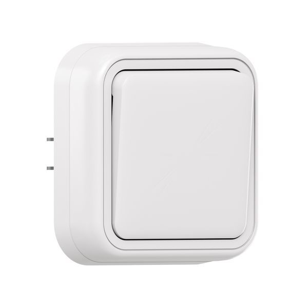 выключатель кнопочный 1-кл. сп бронто автоматические клеммы бел. ekf bt2-sww-13 от BTSprom.by