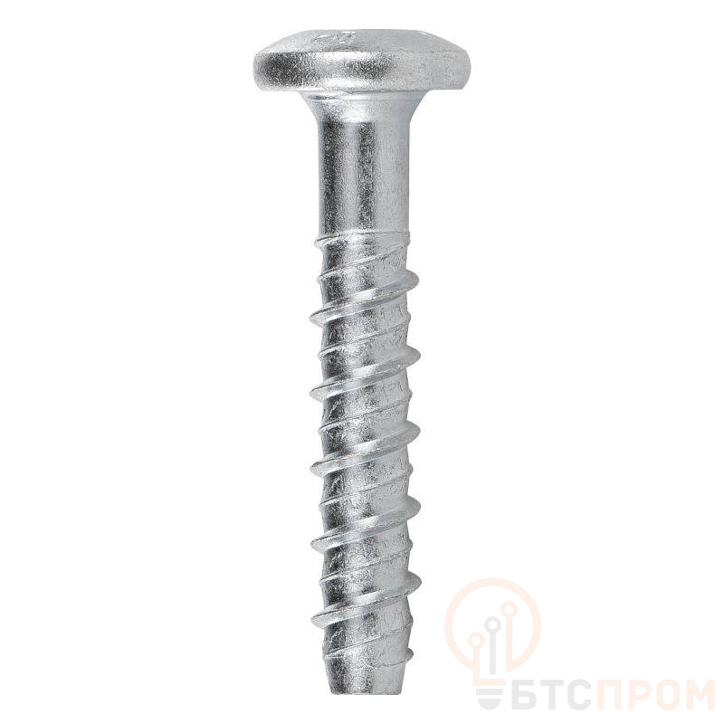 Анкер-шуруп для бетона с полукруглой головкой TORX 6х40мм DKC CM580640 фото в каталоге от BTSprom.by  Анкер-шуруп для бетона с полукруглой головкой TORX 6х40мм DKC CM580640 фото в каталоге от BTSprom.by