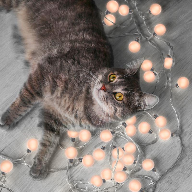  Гирлянда светодиодная садовая Solar "Большие Шары" 20 ламп бел. IP44 GAUSS GS034 фото в каталоге от BTSprom.by