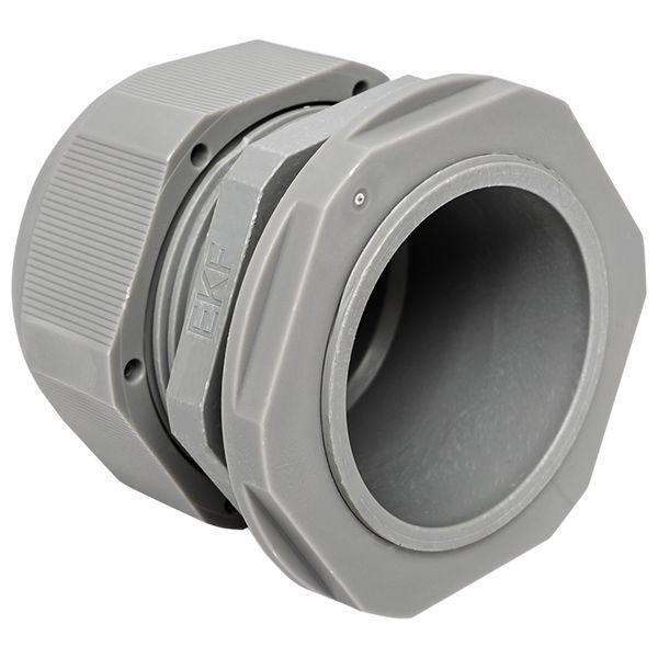  Сальник PG42 d32-38мм (d отверст. 53мм) IP54 (уп.1шт) PROxima EKF plc-pg-42-1-r фото в каталоге от BTSprom.by