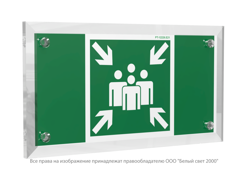 знак безопасности pt-12228.e21 "пункт (место) сбора" белый свет a20899 от BTSprom.by