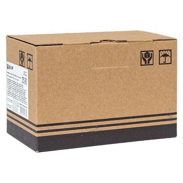  Измеритель-регулятор EKF TER101-M-M2A-R фото в каталоге от BTSprom.by