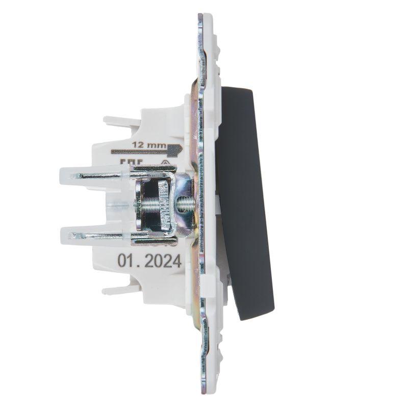  Выключатель проходной 1-кл. SKANDY 10А SK-V02G графит IEK SK-V12-0-10-K53 фото в каталоге от BTSprom.by