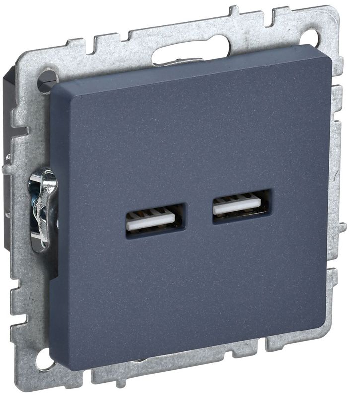 розетка brite usb a+a 3.1а рю10-1-брм механизм маренго iek br-u21-d31-k35 от BTSprom.by