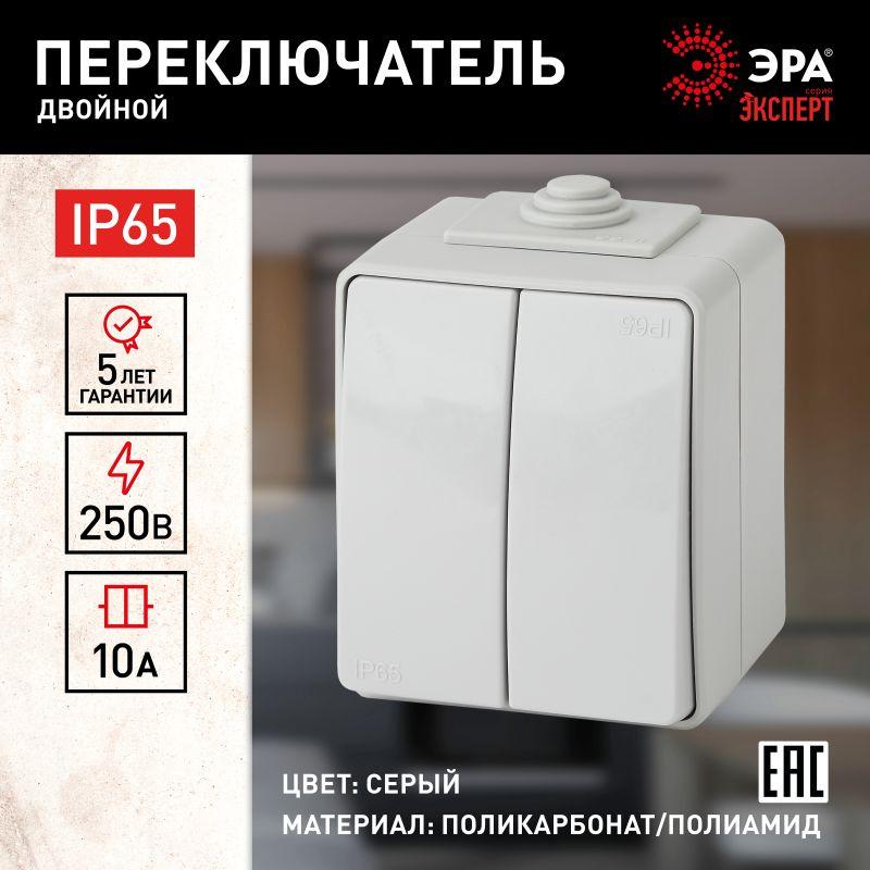 переключатель 2-кл. оп эра эксперт 10а ip65 11-1606-03 250в 10ax сер. эра б0035979 от BTSprom.by